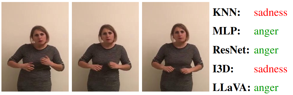 Food category results